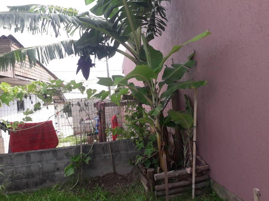 Casa Proximo A Praias, Trilhas E Cachoeiras. Garopaba Buitenkant foto